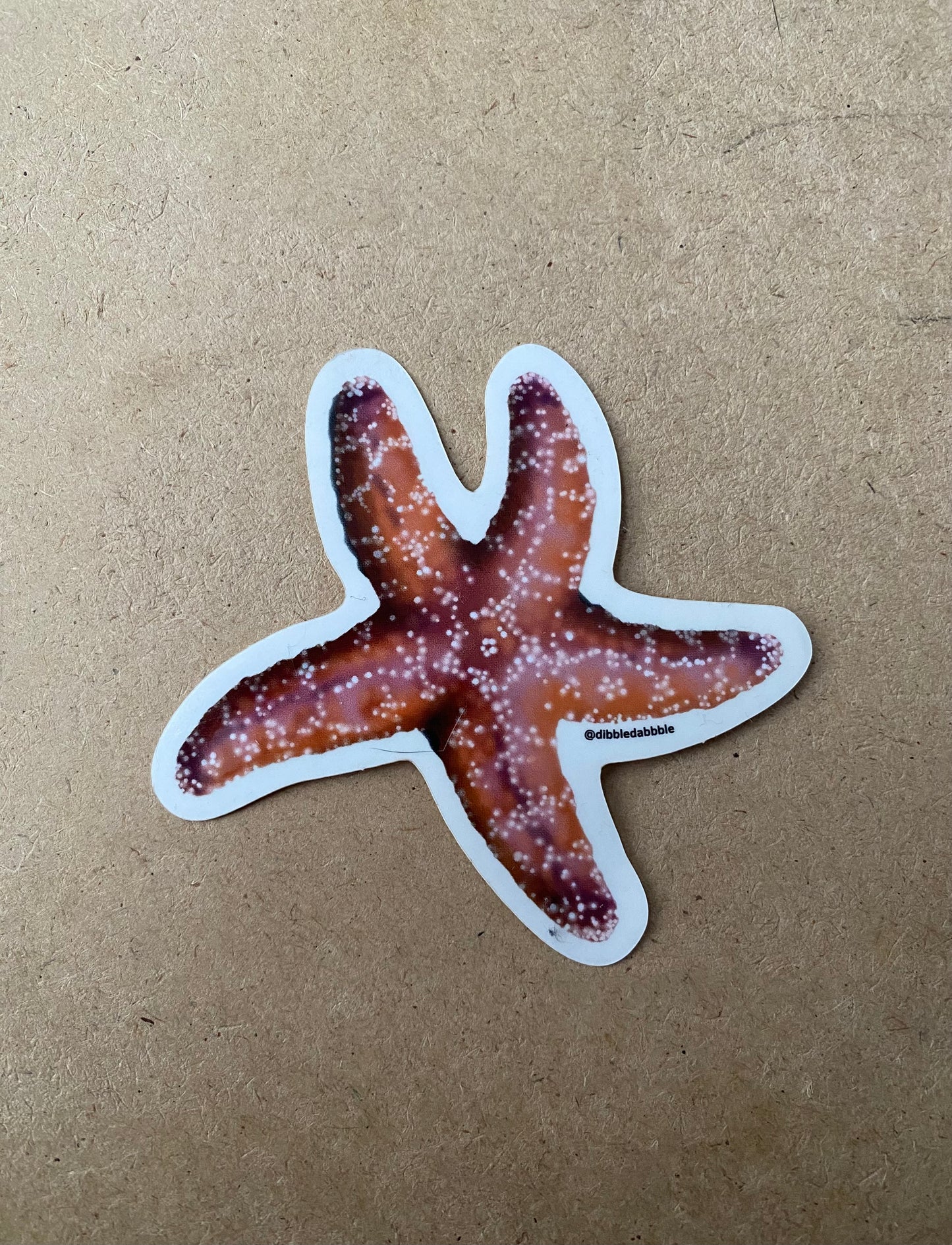 Sticker | Starfish