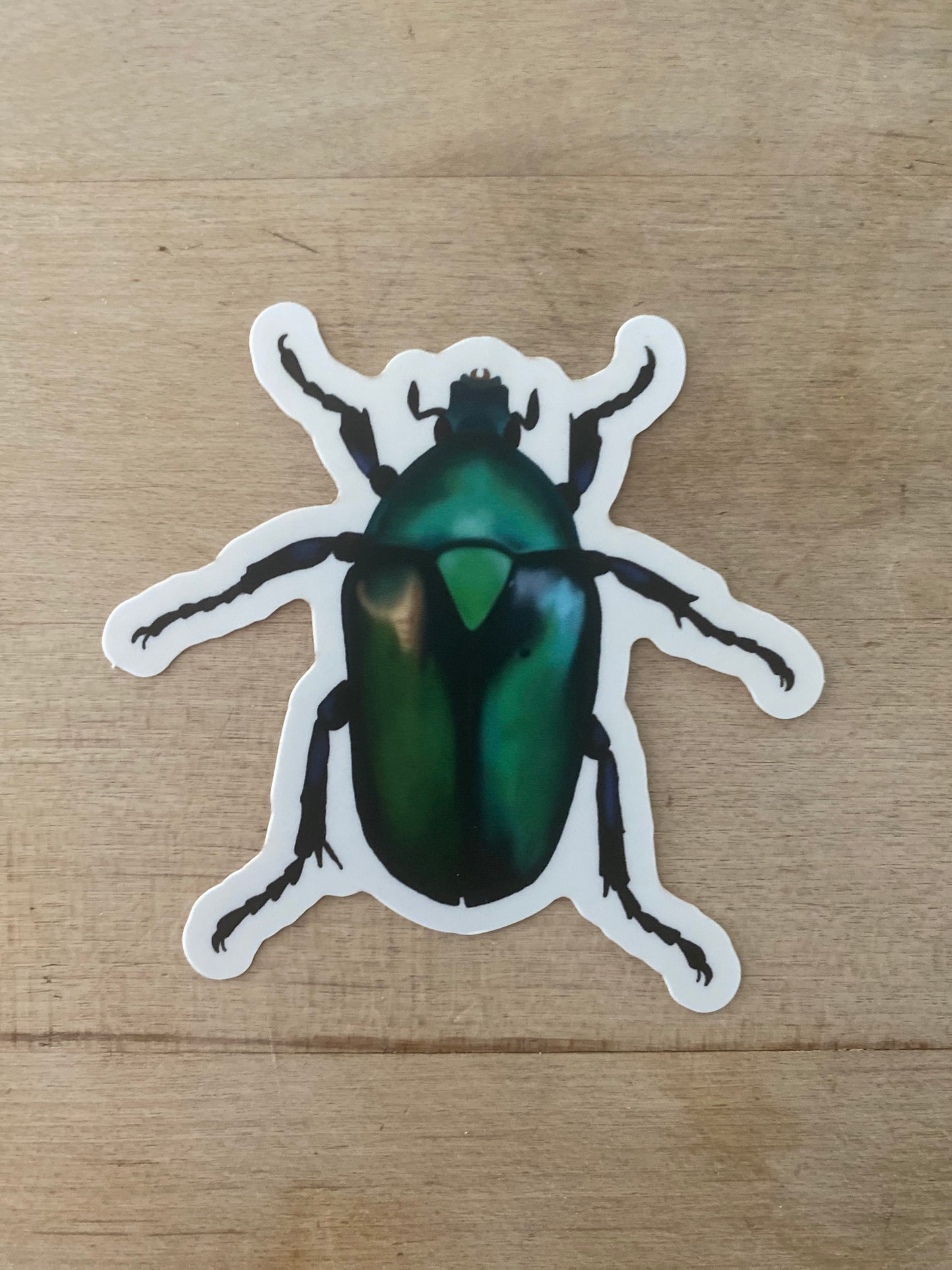 Stickers | Beetles