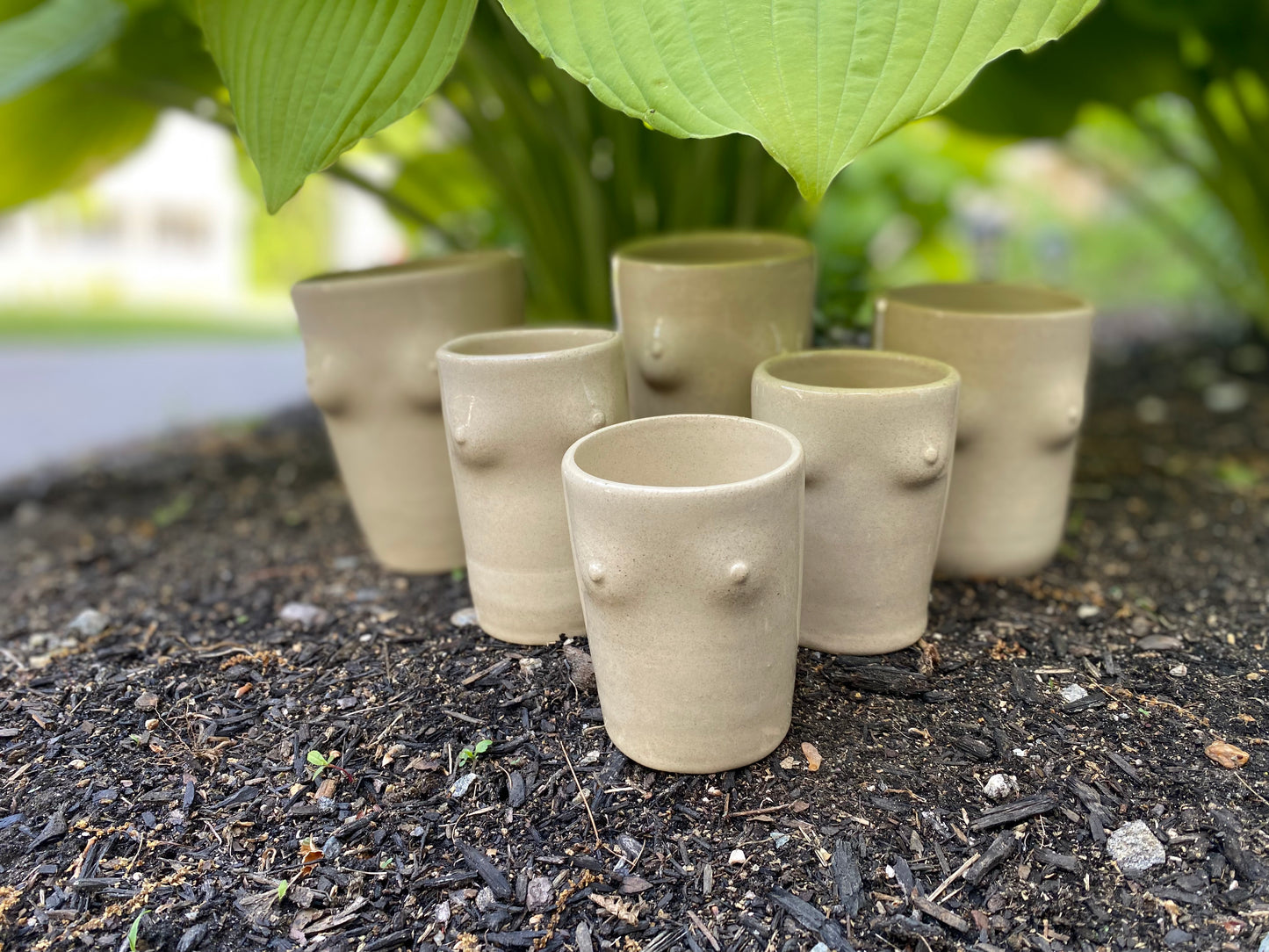 Boobie Cups