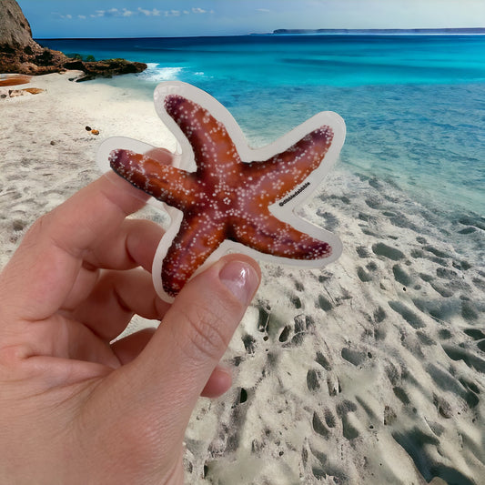 Sticker | Starfish