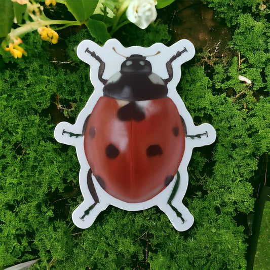 Stickers | Beetles