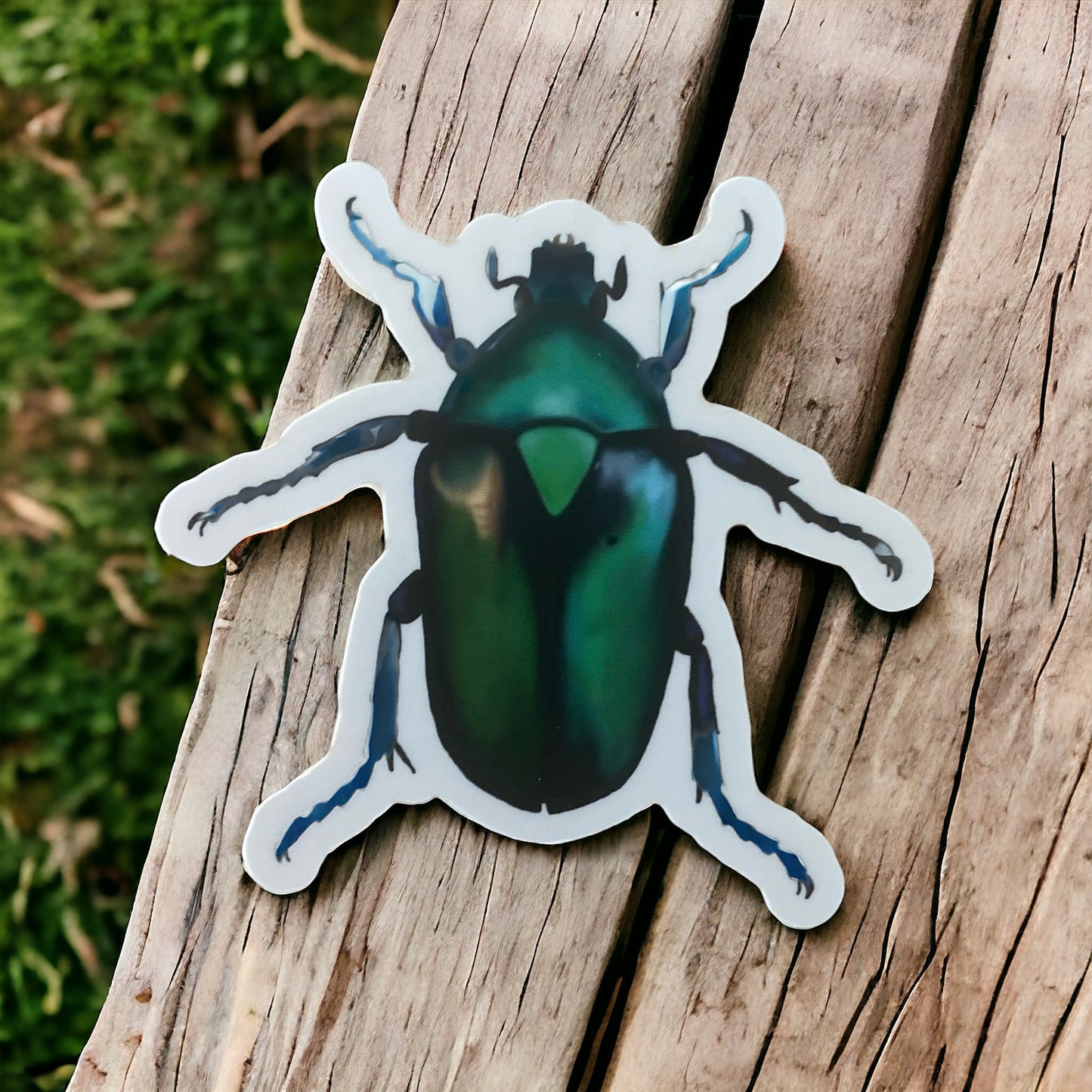 Stickers | Beetles