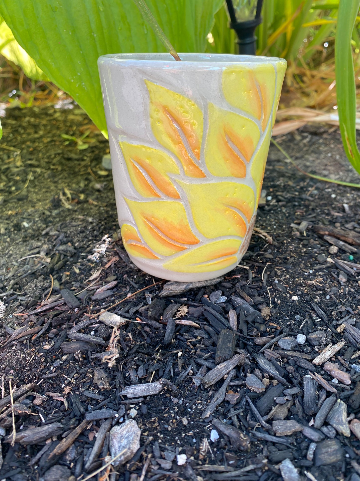 Sunflower Cups